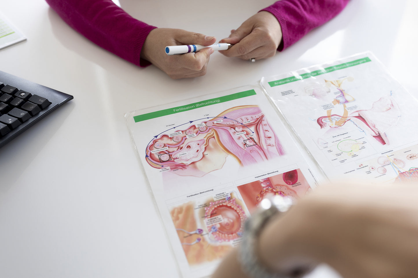 Hormonelle Stimulation