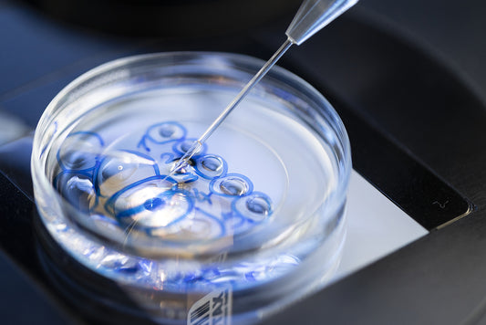 ICSI-Intrazytoplasmatische Spermieninjektion