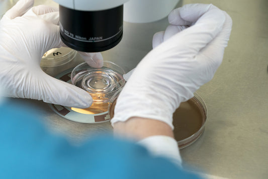 IVF-In vitro Fertilisation